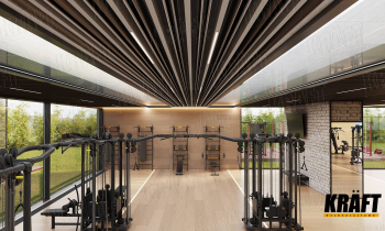 New Article: Practical and Stylish Suspended Ceiling in the Gym